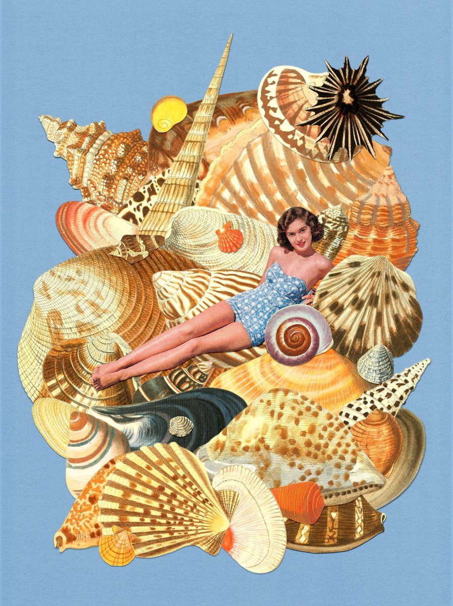 kaho_cw's tweet photo. Day 1-4 of Februllage
-หหโโโโโ
๐ณTrees
๐Shell
๐ฉโโค๏ธโ๐โ๐จSchool
๐ฒDice
.
.
.
#collage #collageart #analogcollage #art #artwork #collageartist #collagemaker #collagework #collagedesign #collageartwork #collagewave #digitalcollage #digitalart https://t.co/PytHjUSPBU