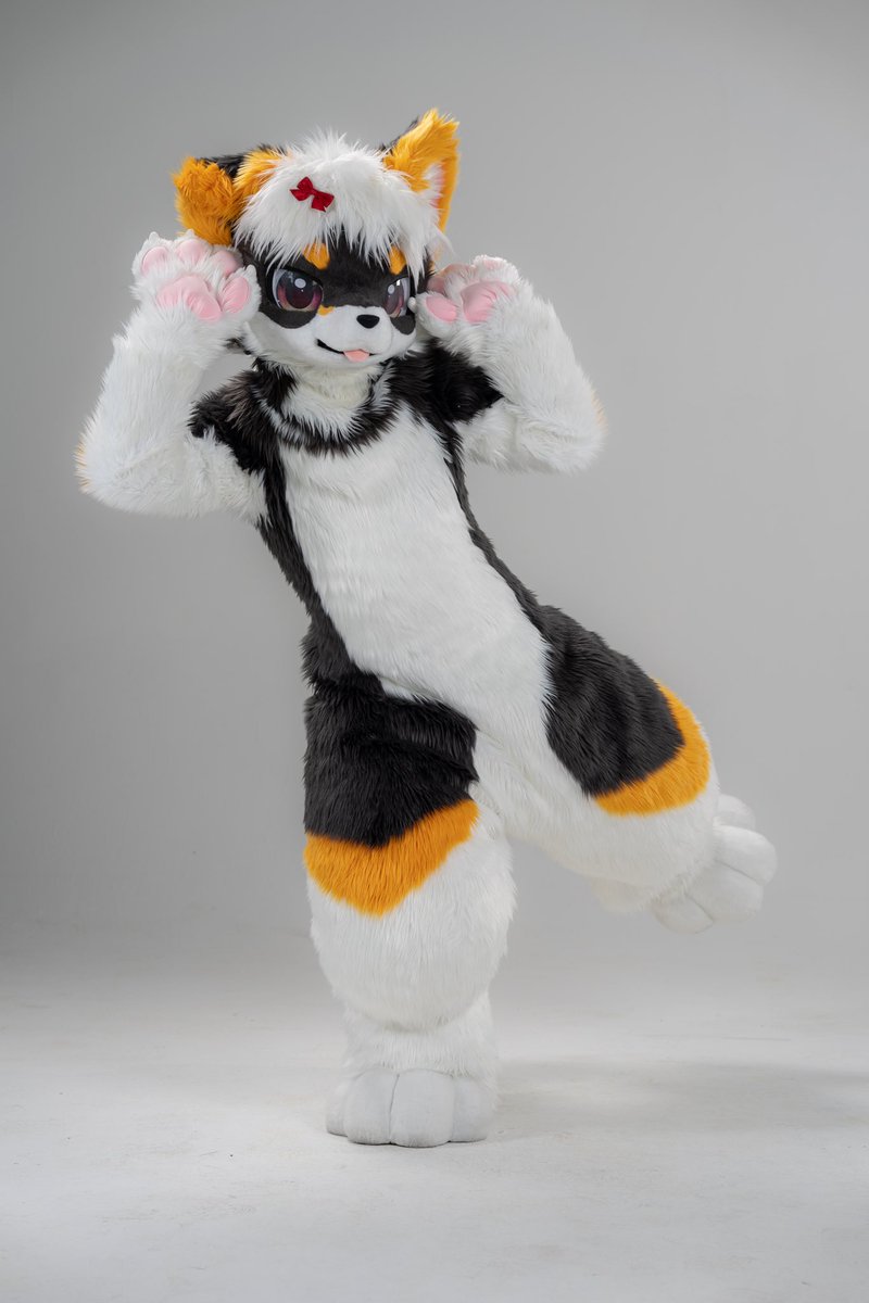 StarFire奇幻工坊 (@fur_starfire) on Twitter photo StarFire角色展示✦克拉
🐾SID.000001
🐾种族: 犬
🐾委托人: <a href="/HiFurryOfficial/">你好兽聚丨Hi Furry</a>
--------------------
StarFire奇幻工坊
#Furry #Fursuit #StarFire #FursuitFriday StarFire角色展示✦克拉
🐾SID.000001
🐾种族: 犬
🐾委托人: <a href="/HiFurryOfficial/">你好兽聚丨Hi Furry</a>
--------------------
StarFire奇幻工坊
#Furry #Fursuit #StarFire #FursuitFriday