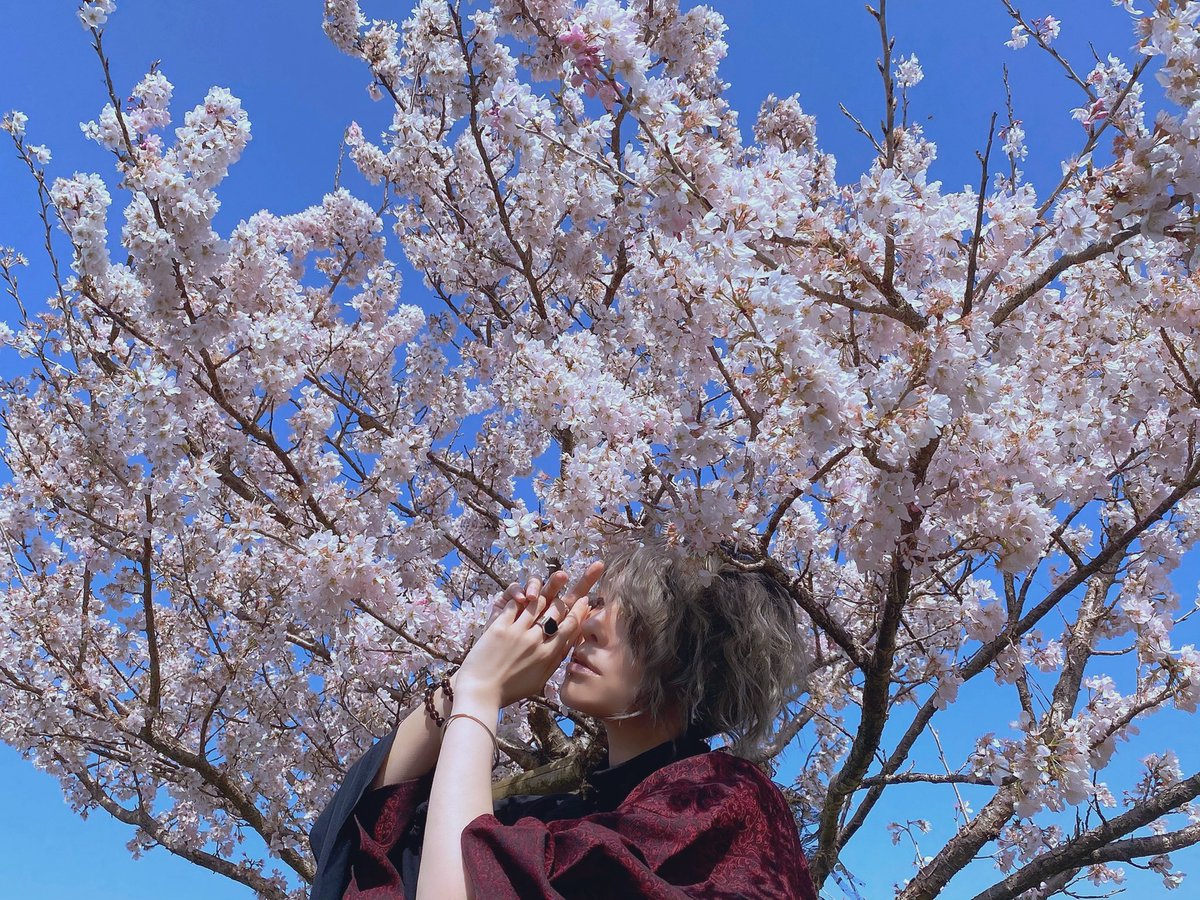 Jin_JemINi's tweet photo. 桜の季節🌸

Photo ▶︎ 谷山ゆたか https://t.co/WsLE7Frodw