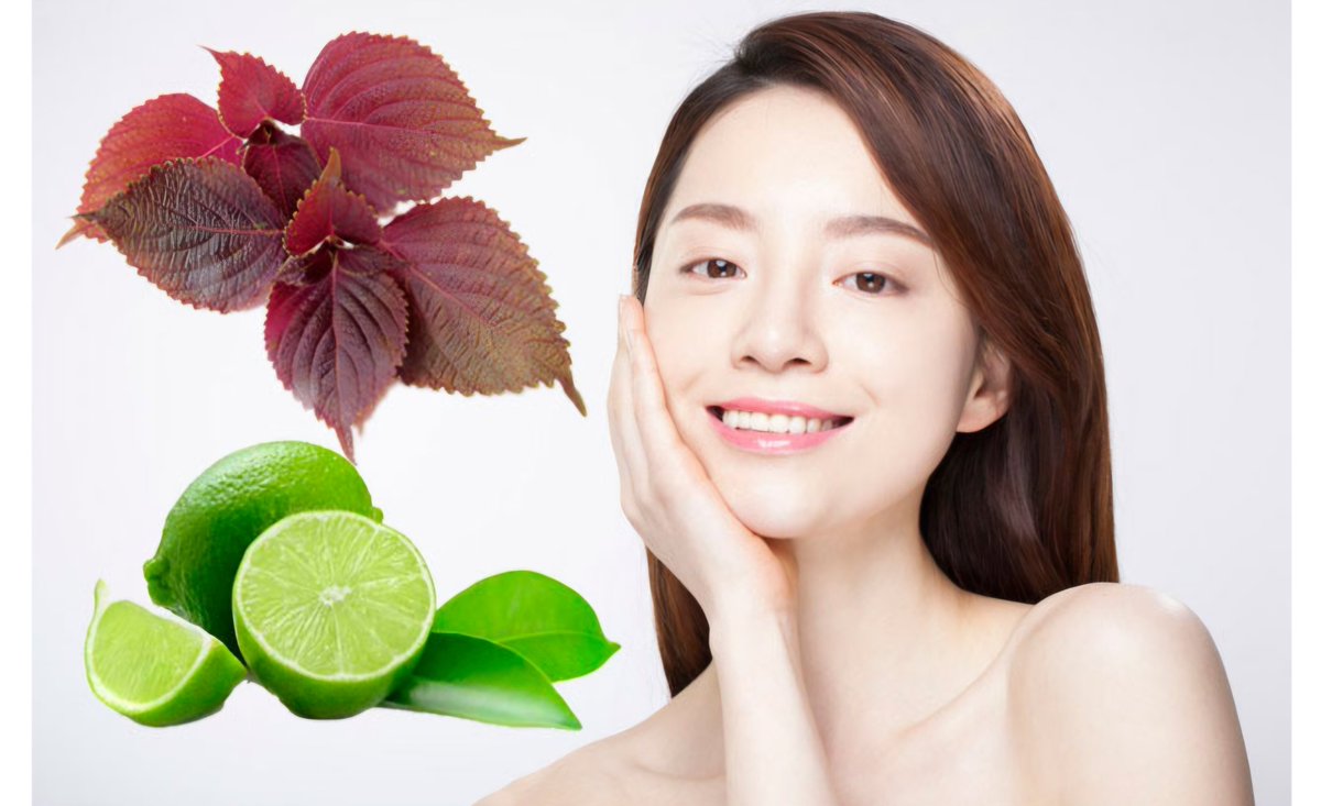 Treating Melasma with Perilla Leaves and Fresh Lemon

Fresh lemon is a well-known natural ingredient for beauty enthusiasts who prefer natural skincare methods. Perilla leaves and fresh lemon help disinfect the skin, brighten the complexion, and effectively fade dark spots and