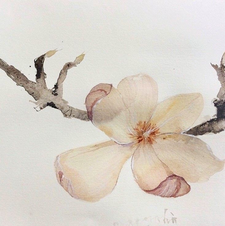 studyjap's tweet image. ✩ ⌕  :  #studytwt | #booktwt | #langtwt '🪼

       - lavie, 02' enfp
       - 🇧🇷 native 🇺🇲 B1 🇲🇫 A1 🇯🇵 N5
       - focus: learning &amp;amp; speaking, JLPT, fluency
       - studio ghibli, painting, kpop

♡/↺ I’m looking for new moots !