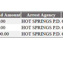 MidnightScreem's tweet photo. Something I just noticed...Leticia was not arrested by the Sheriff Dept that did the welfare checks at her mom's house.
It was Hot Springs PD that took her in.
I am wondering why?
#LoveNotesForTLC https://t.co/yQB1lVJkQc