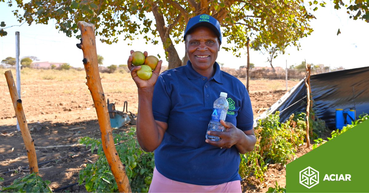 ACIARAustralia's tweet photo. Meet Mrs Thandanani Dube, who is turning water scarcity into sustainable farming success in rural Zimbabwe. 🇿🇼🌱   

Read more: https://t.co/8Gamb2fcoJ 

#IWD2025 #FoodSystems #ACIAR https://t.co/9YgUE4Xqzh