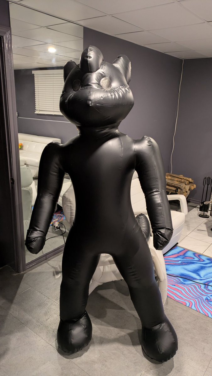 _hazzy1_'s tweet image. Are you looking for a living pool toy? I&apos;ll be your floating drone kitty 😸