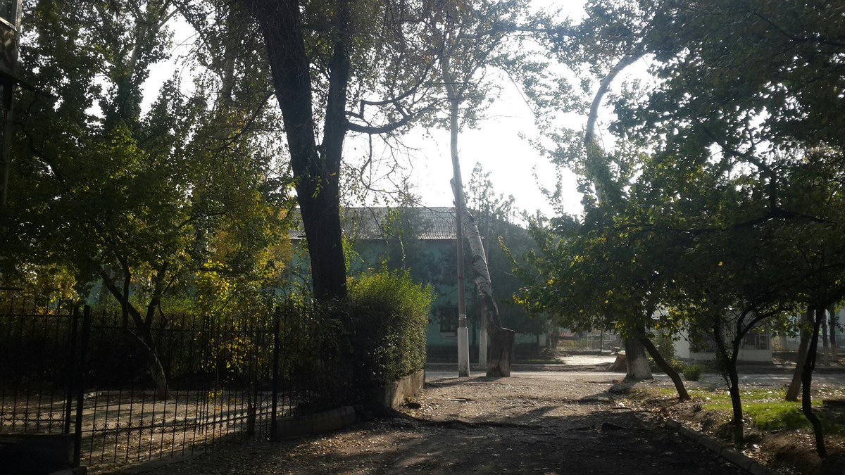 согди tweet media