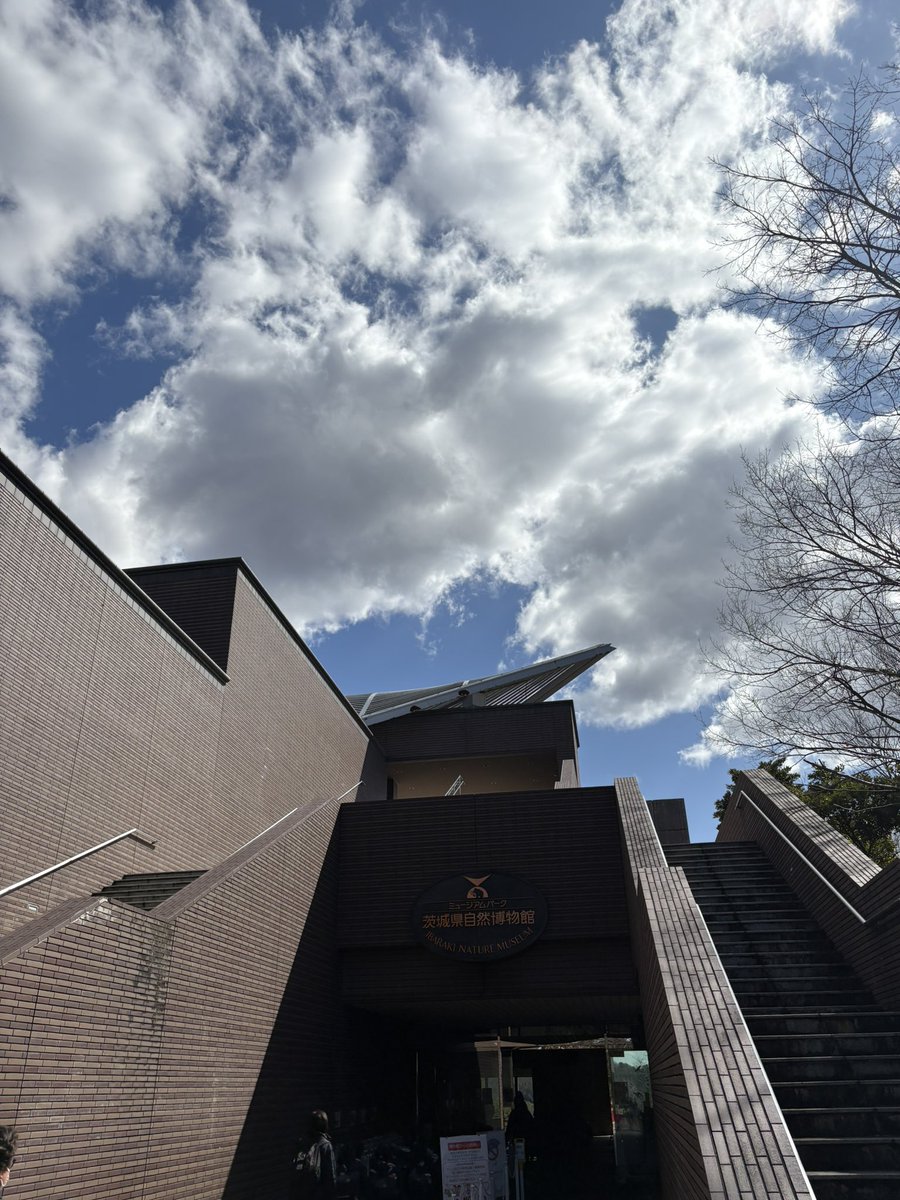 D1aichi's tweet photo. 小学生の遠足ぶりにミュージアムパークきた。当時この川のエリアで脱いだ上着を忘れ��帰ったけど後日缶バッチと一緒に家に送ってくれて感動した記憶ある。 https://t.co/YqrSBwrjD8