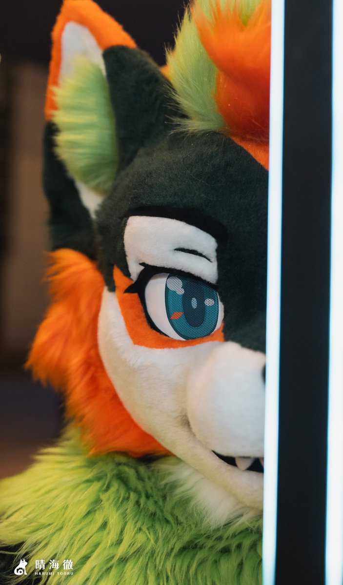 You should try it
It's the time to dare
We should try it
Don't be scared of bystanders

📷<a href="/tooruche/">晴海徹 (はるみ とおる) 寫真系Vtuber🔜獸無限</a>  ​#小徹在攝攝 

#FursuitFriday