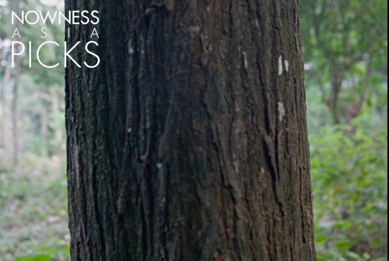 Sumi Mathai tweet media