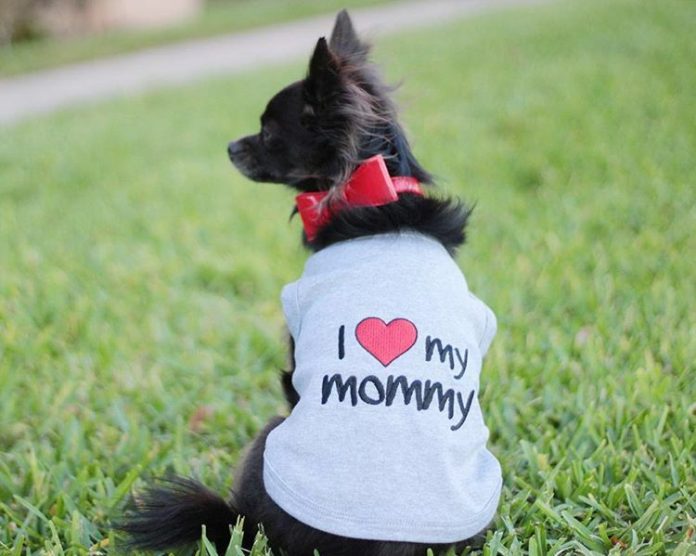redcatweb tweet picture