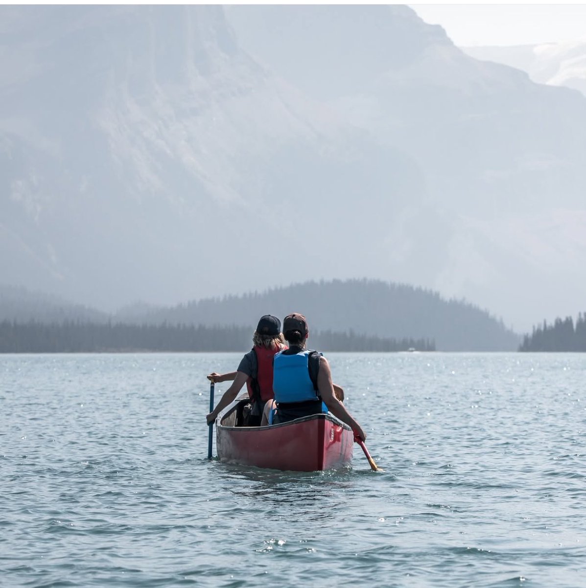 Court Rustemeyer tweet media