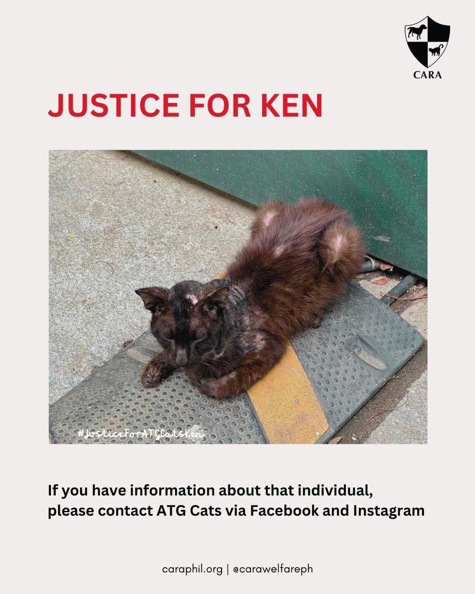 inquirerdotnet tweet picture