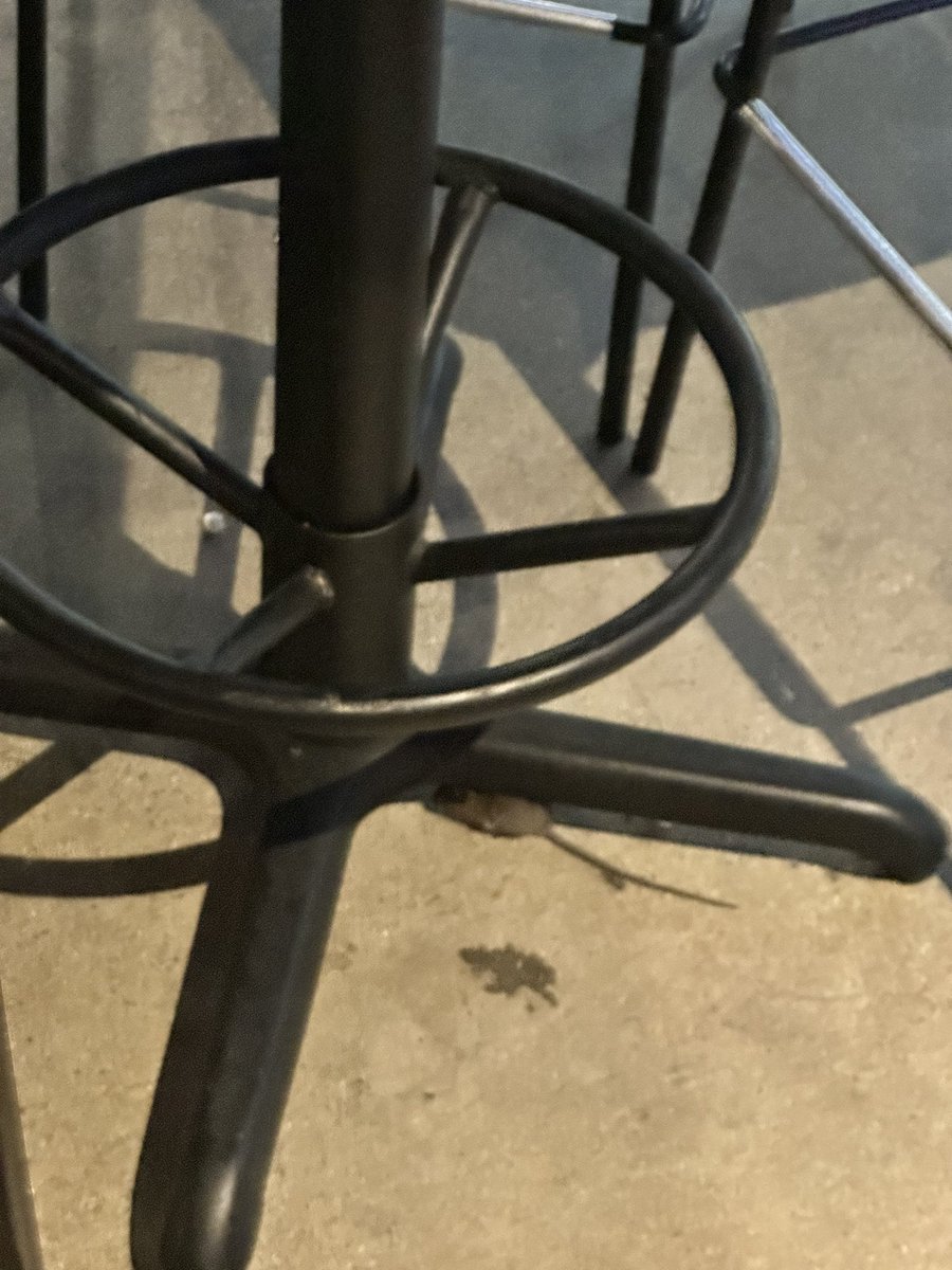 Daniel Villarreal tweet media