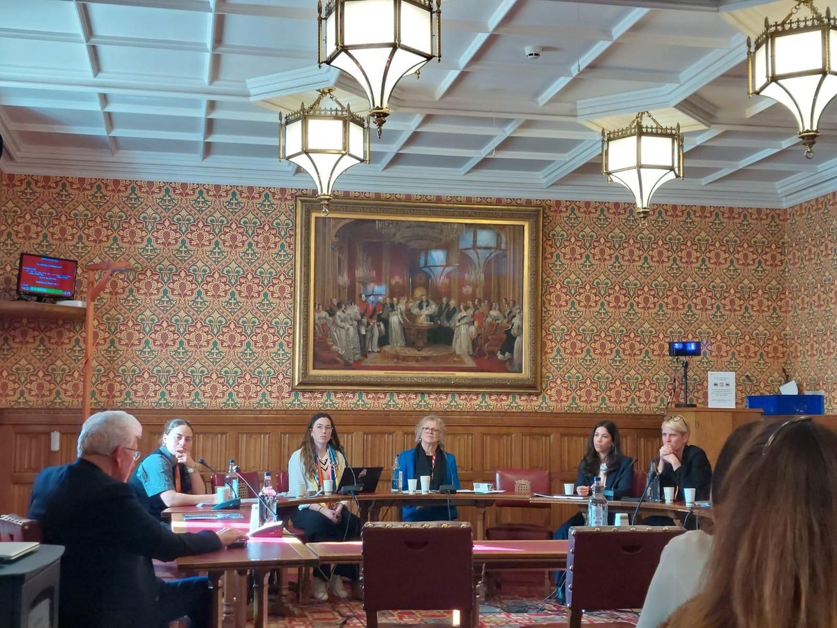 NewlinesInst's tweet image. At our House of Lords event on CRSV in #Tigray, we highlight the need for urgent support for survivors. Justice is not just accountability—it’s care. #WPS 

“Tigray is not just a tragedy—it is a warning. If we fail to challenge the structures that enabled this violence globally,…