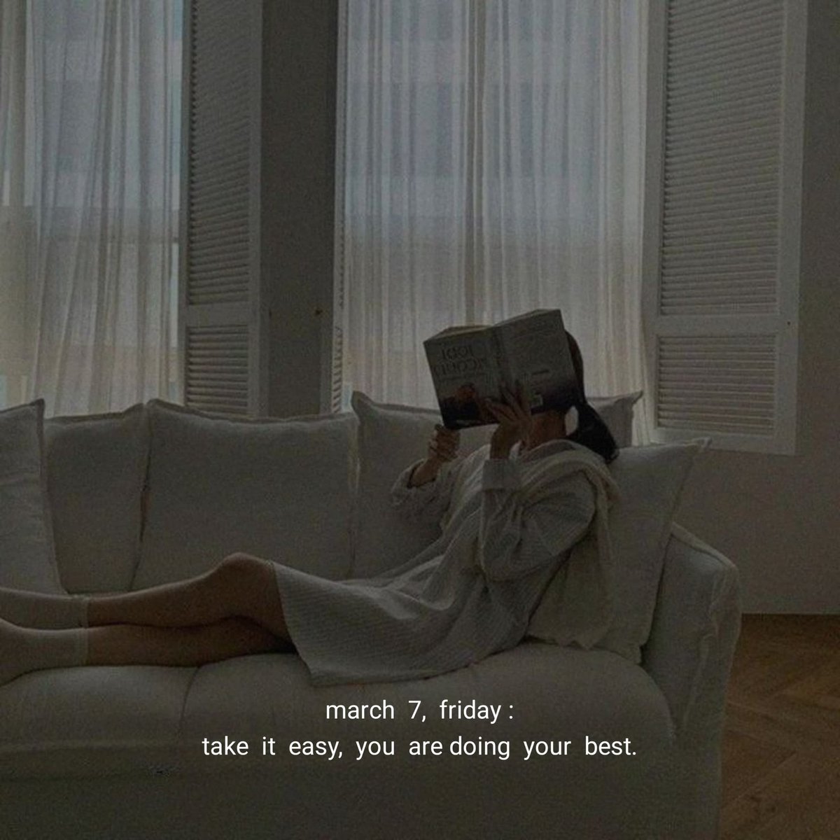 mood novella tweet media