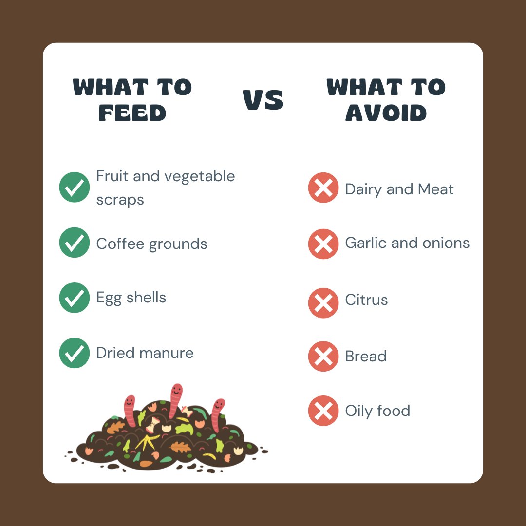 eduplantza's tweet image. Turn kitchen scraps into garden gold with #vermiculture! Create a DIY worm farm for nutrient-rich compost. 🌱 #WormFarm #SustainableGardening