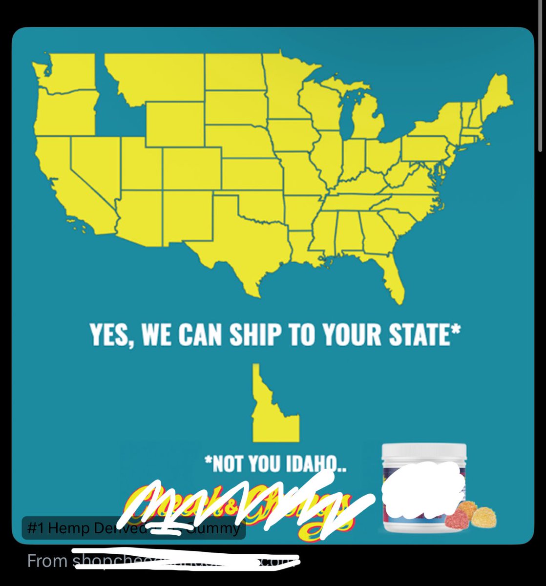 Diana CD JP 🇵🇸🇮🇷🏳️‍⚧️ (16) tweet media