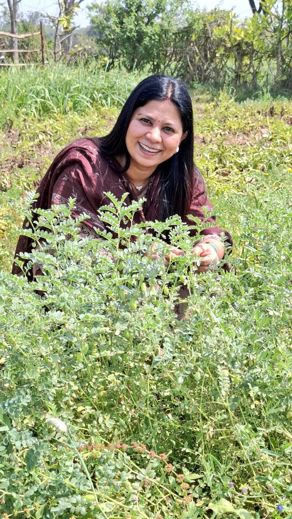दादी के आँगन से - धान के खेत तक
बचपन के लाड से- मेरी जड़ों की महक तक
सब कुछ अपना सा- मानो एक सपना सा😍😘