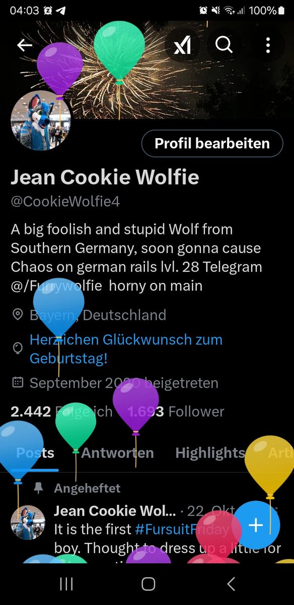Jean Cookie Wolfie tweet media