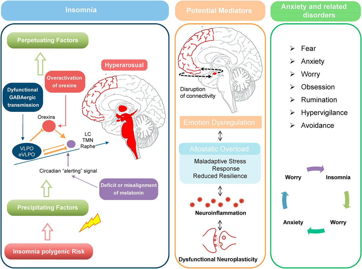 #Insomnia  frequently co-occurs with a wide range of anxiety-related disorders including #PanicDisorder , #socialPhobia and #OCD.  
  
Targeting insomnia may be a key factor for improving #anxiety &amp; related disorder trajectories
  
sciencedirect.com/science/articl…