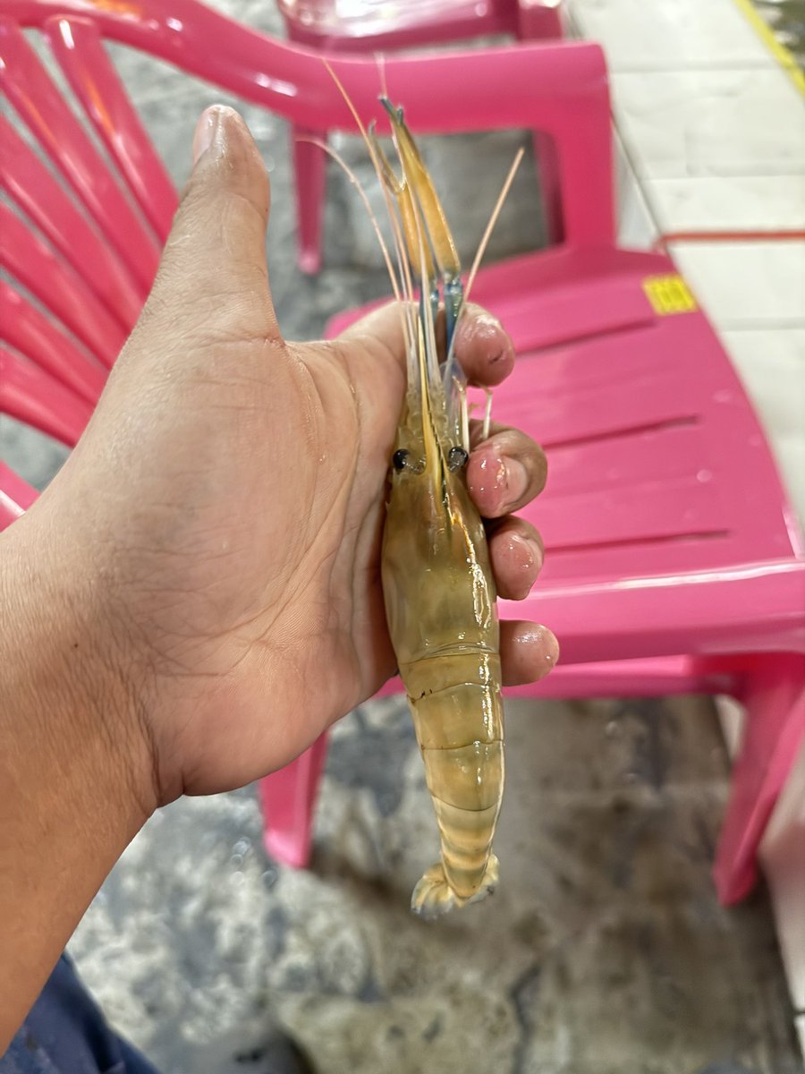 天氣冷還是得補補身體