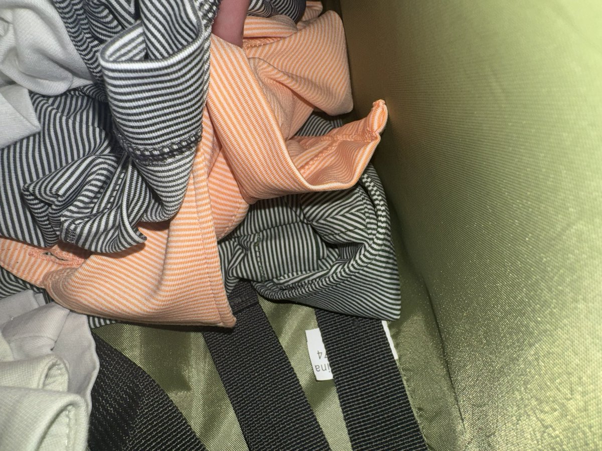 BurnCanesBurn's tweet photo. Peter Millar locked and loaded #SpringBreak https://t.co/FW96dw03sO