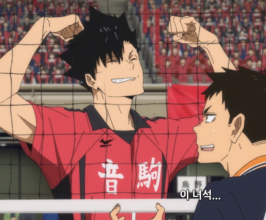 187의 거구 고양이