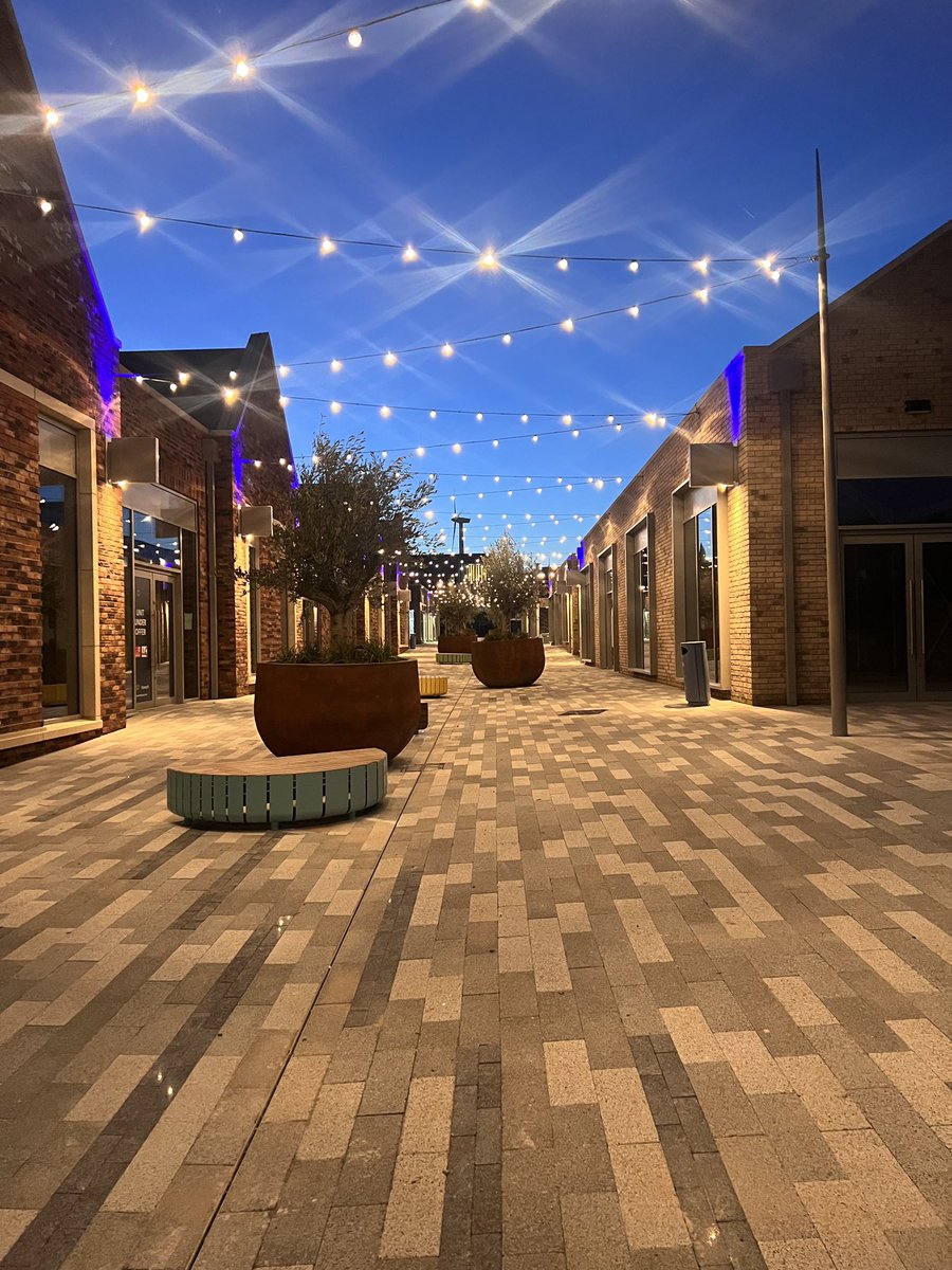 David Cross tweet media