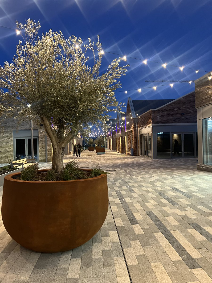 David Cross tweet media