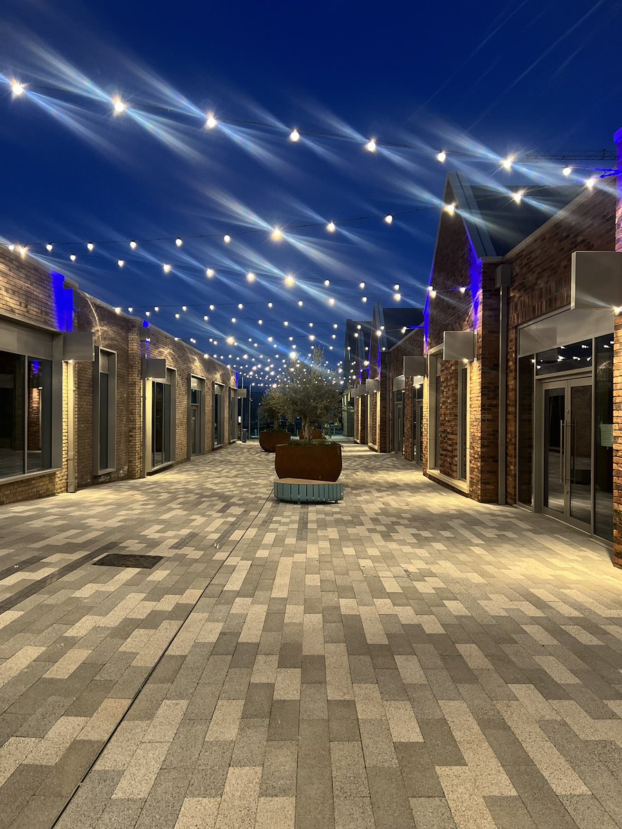 David Cross tweet media