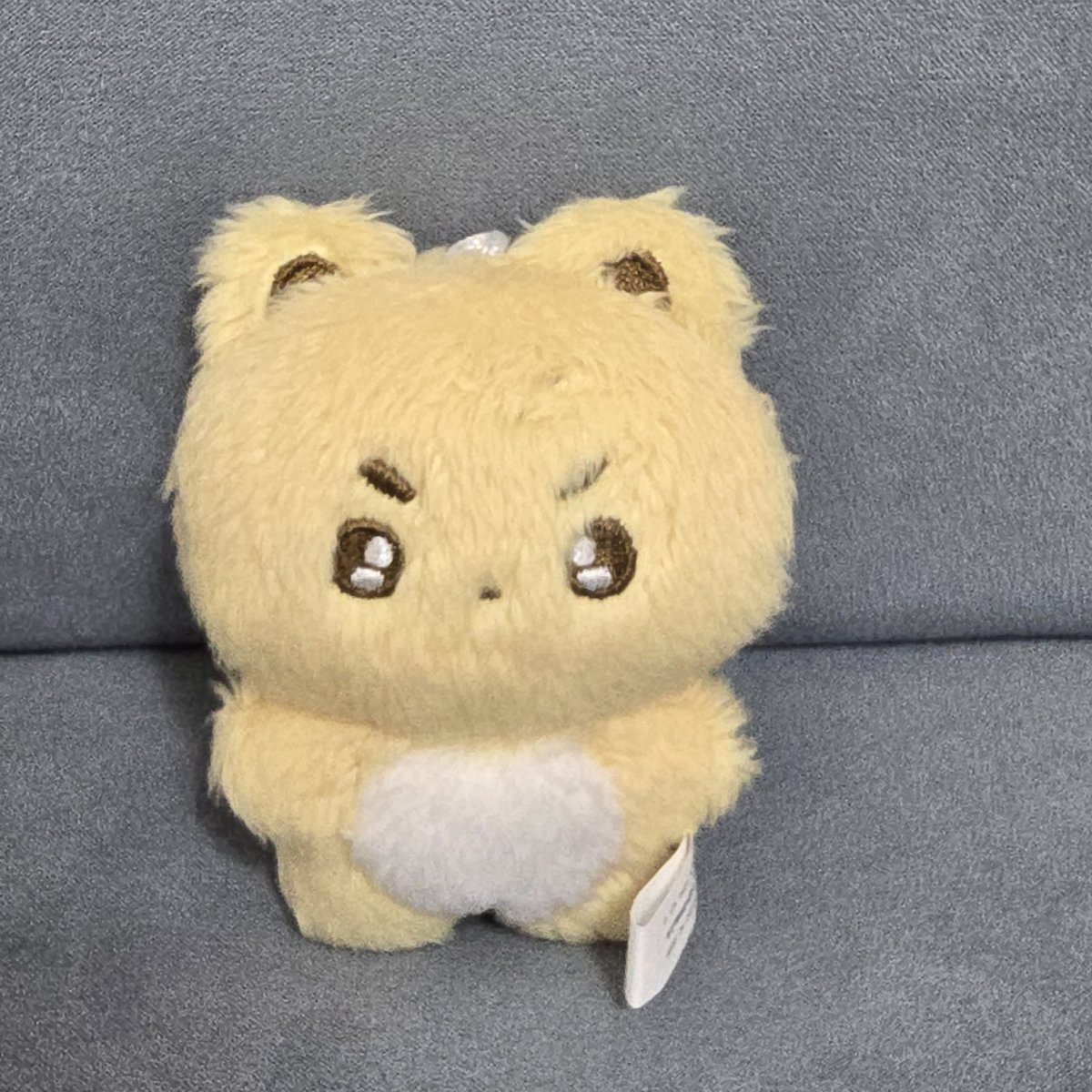어떡해요 🥹 넘 귀여워요🫳🫳🫳 멍한이 
하염없이 쓰다듬게 돼...
<a href="/meonghan_1031/">멍한이</a>