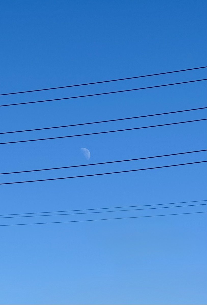 FugaciousOne's tweet photo. Taaron mein Chand
#MiddayMoon https://t.co/JQzMf8k6bR