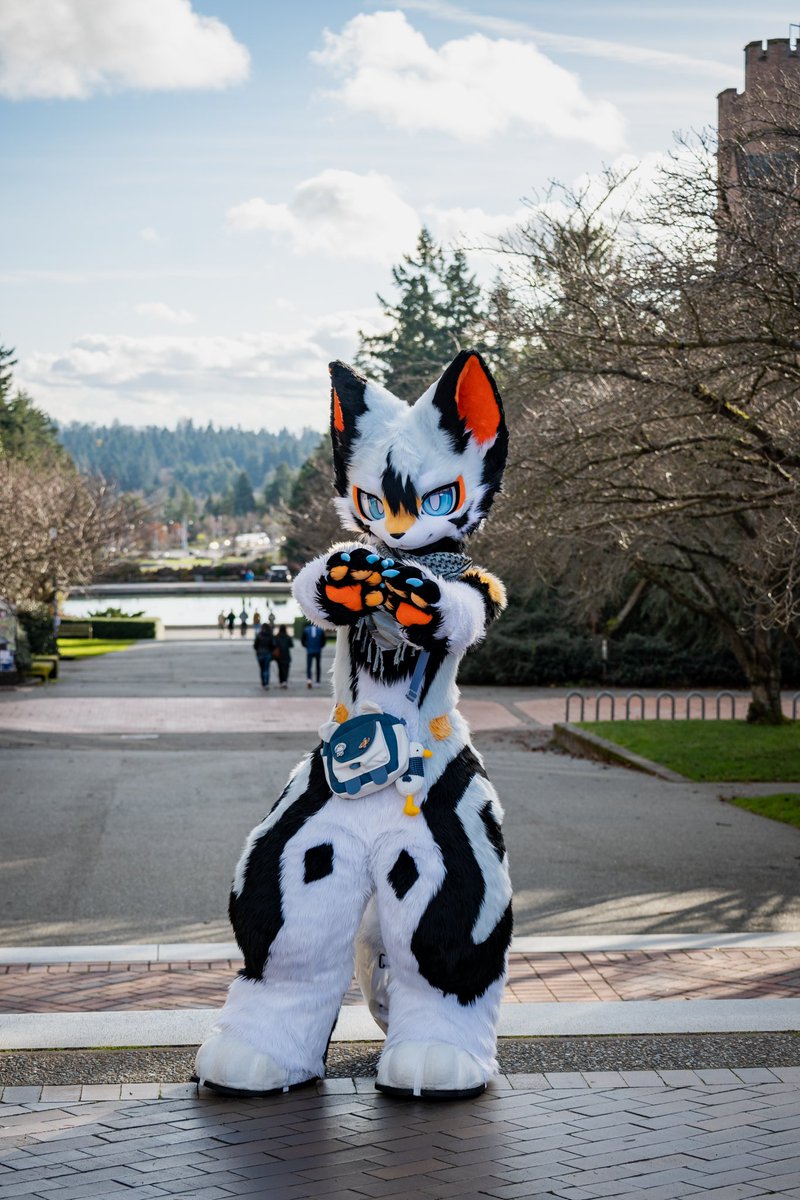 凌汐Jeffrey tweet media