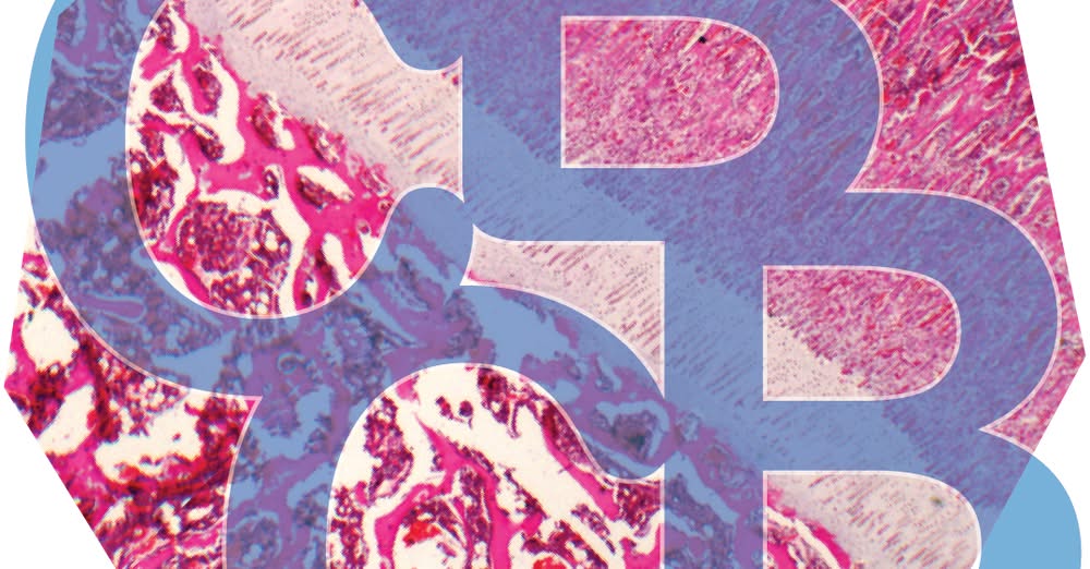 International Society for Vertebrate Morphology (@isvmorph) on Twitter photo CCBB Conference 2025: Comparative Cartilage & Bone Biology
Set at the beautiful Observatoire Océanologique de Banyuls sur Mer, focusing on cartilaginous and ray-finned fishes.
📅 Abstract Deadline: March 16!
Submit abstracts and get details at: ccbb-conference.com CCBB Conference 2025: Comparative Cartilage & Bone Biology
Set at the beautiful Observatoire Océanologique de Banyuls sur Mer, focusing on cartilaginous and ray-finned fishes.
📅 Abstract Deadline: March 16!
Submit abstracts and get details at: ccbb-conference.com