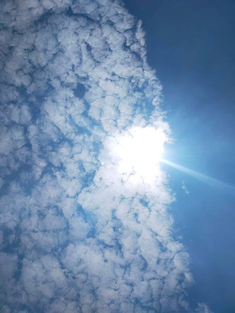 Gm fam

The sun shines above, and so will you.

Wishing you a bright and successful day! 

✨