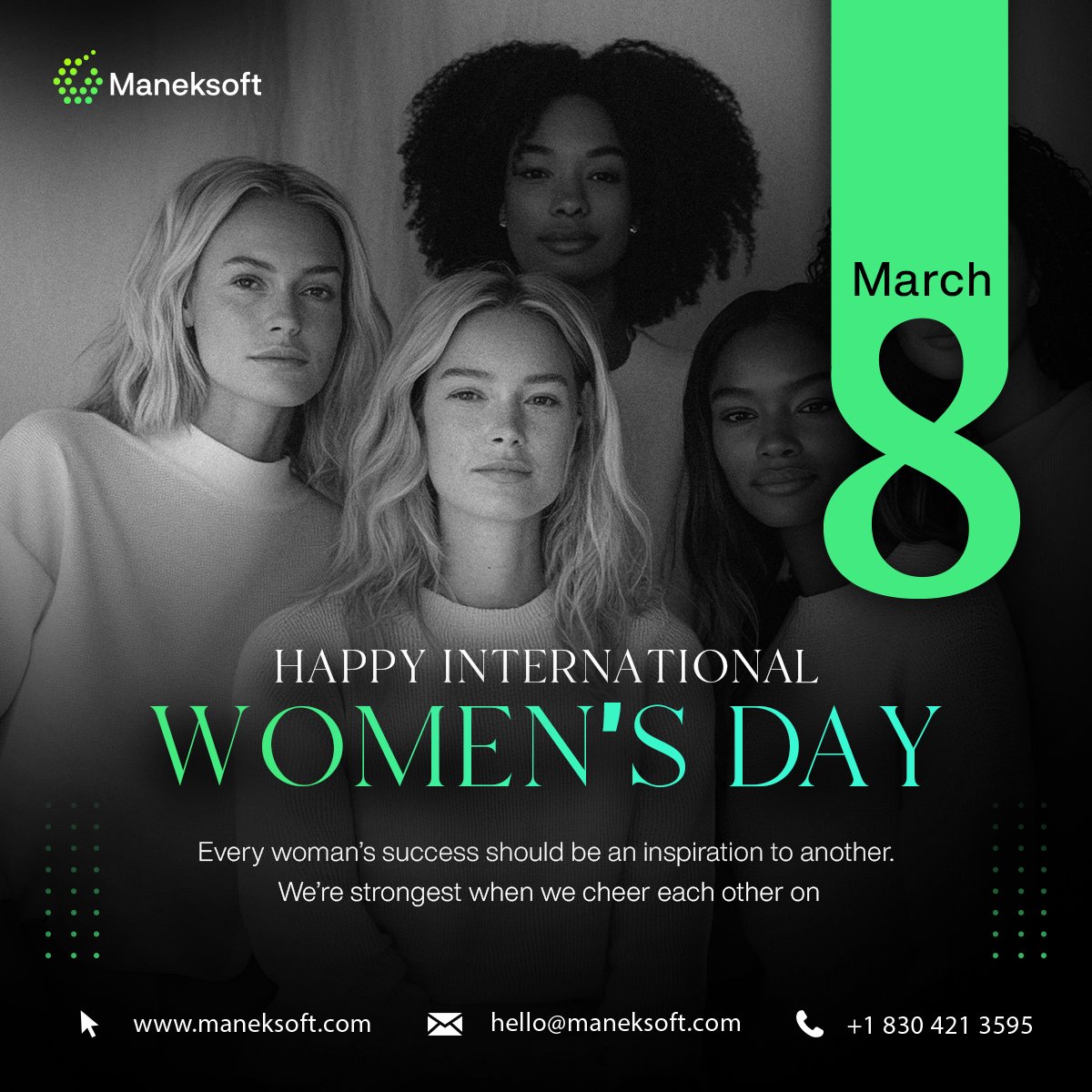 Maneksoft Texas, USA tweet media