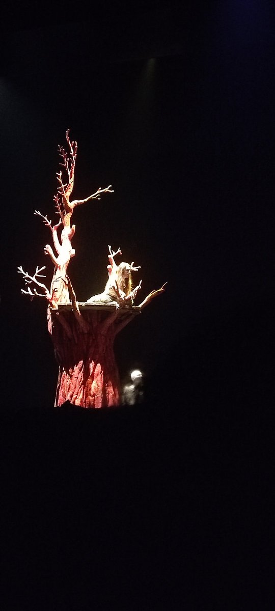 "Questo terrore dell’animo, dunque, e queste tenebre occorre
che siano dissipate non dai raggi del sole o dai lucenti
dardi del giorno, ma dalla visione e dalla scienza della natura."
"De rerum naturae"
#dererumnaturae #teatro #scienza #natura