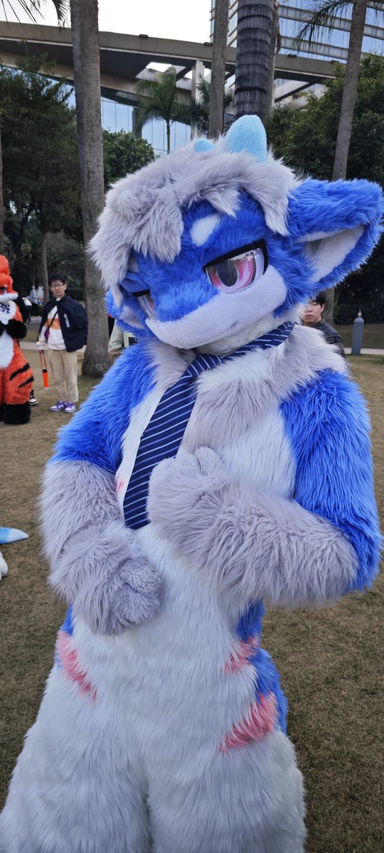 #FursuitFriday  我注意到你了
