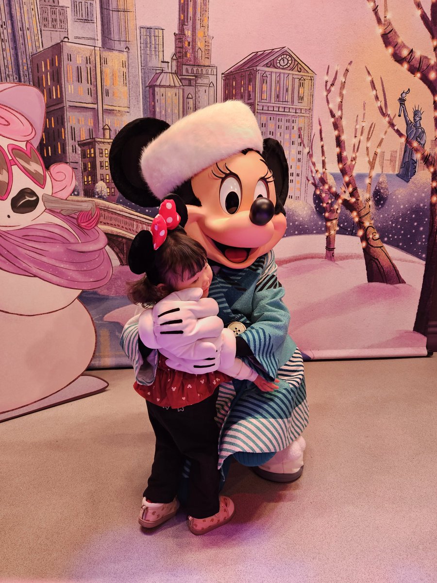 てるみん IDEAL 35-6012 9-1/4