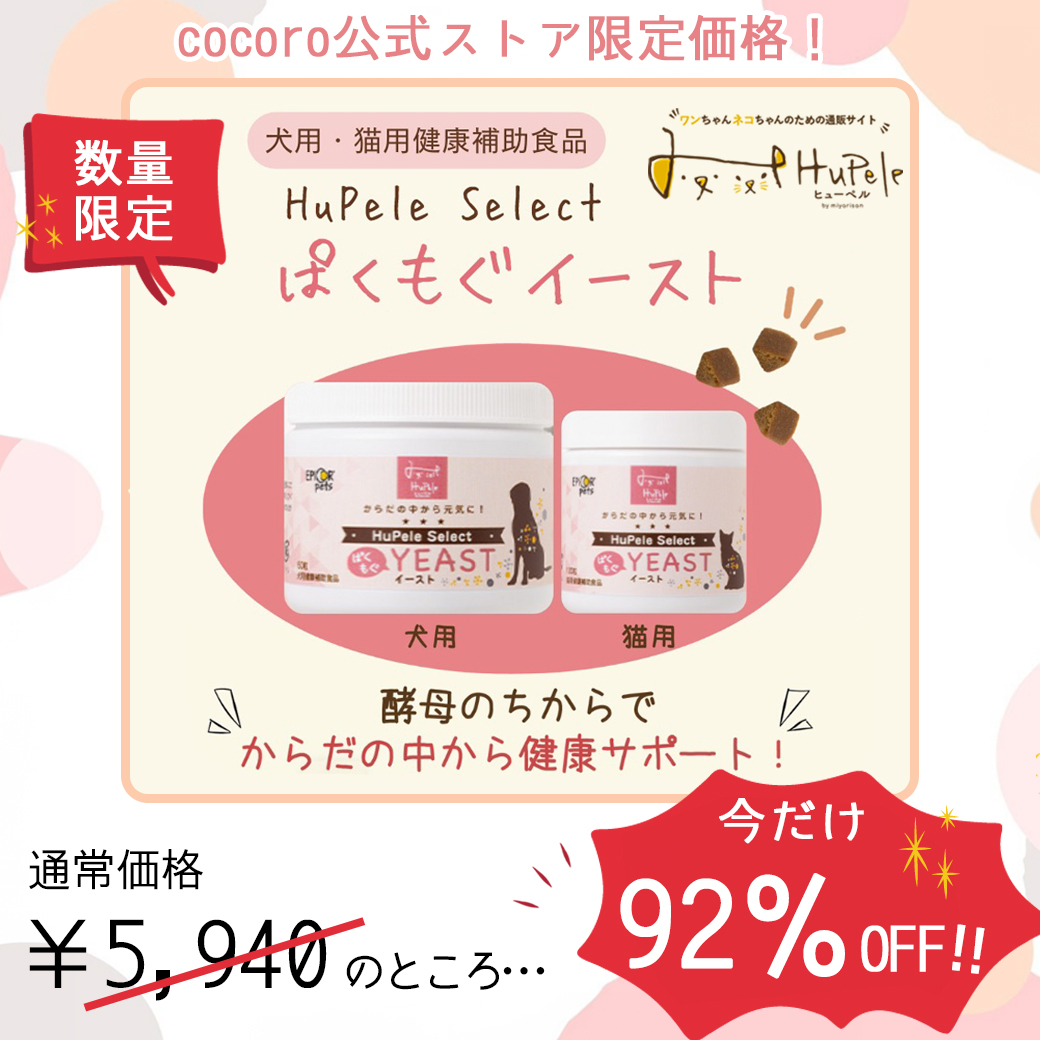 cocoro_ccp's tweet photo. ＼ 数量限定92％OFF！ ／ 
犬猫用・健康補助食品 
「HuPele Select ぱくもぐイースト」
 酵母の力でからだの中から健康をサポート💪✨ 
 なんと今なら…通常価格の【92％OFF】！🫢
公式ストア限定販売です😊
 ※なくなり次第終了  
https://t.co/oNBqkztZHf https://t.co/dmQ2xiL8Cd