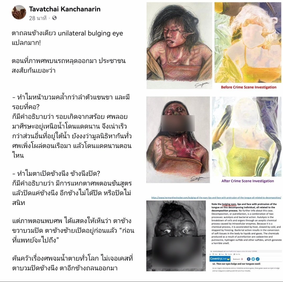 แป๋ว tweet media