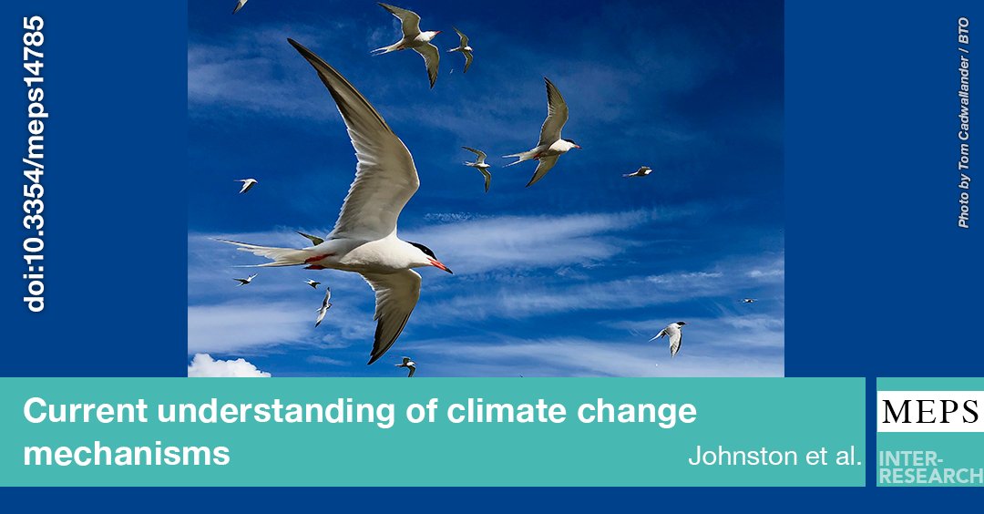 Mechanisms linking climate change to #seabirdpopulations are poorly understood. A review of 25 UK and Ireland species identified key impacts, such as prey availability and extreme weather, while highlighting regional and species-specific gaps
bit.ly/meps_755_163