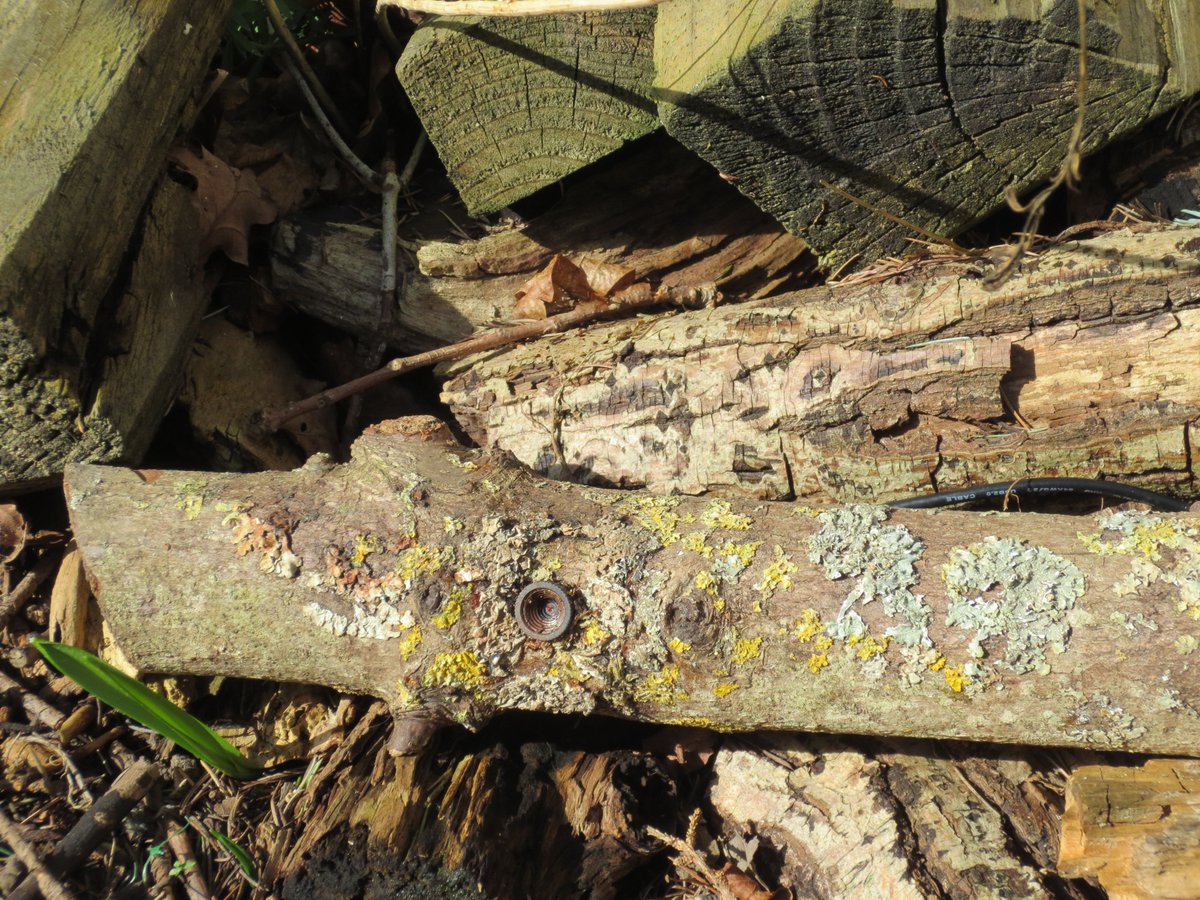 Hidden camera for outdoor surveillance, ideal for fly tipping hotspots. #flytippingcameras #pakatak