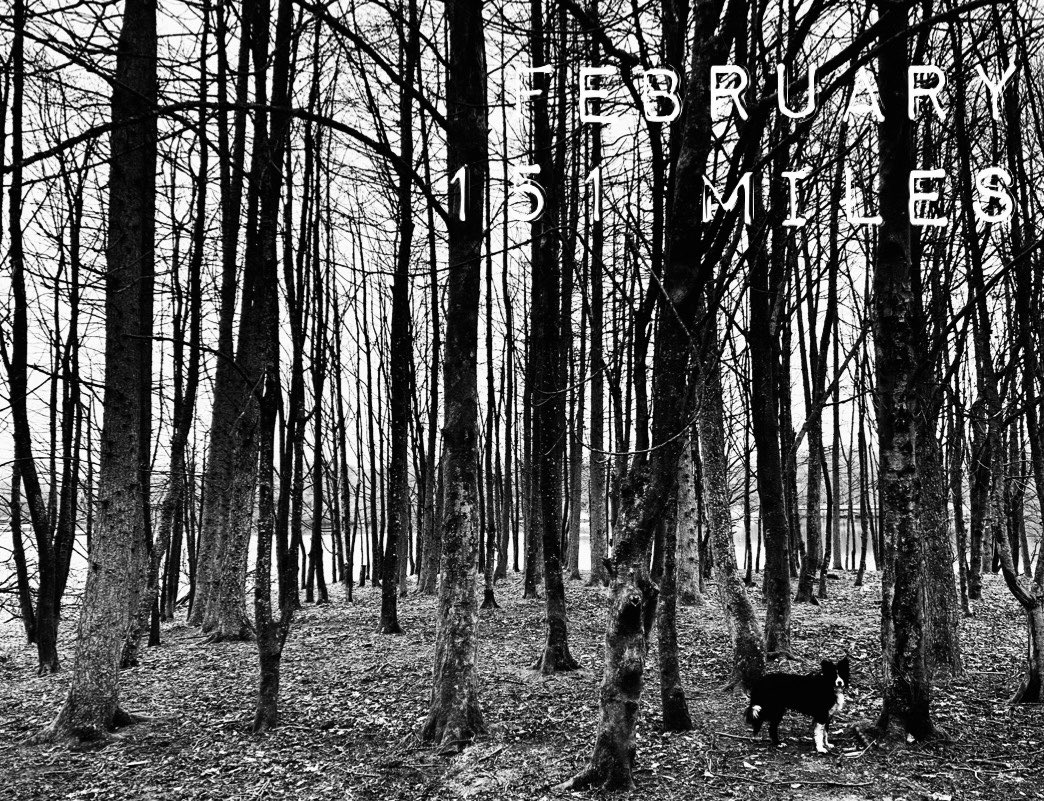 victoria ramsden tweet media