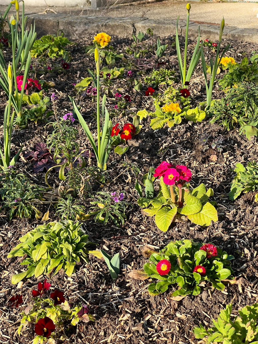 Le printemps arrive doucement <a href="/Boutigny91/">Boutigny Sur Essonne</a>
