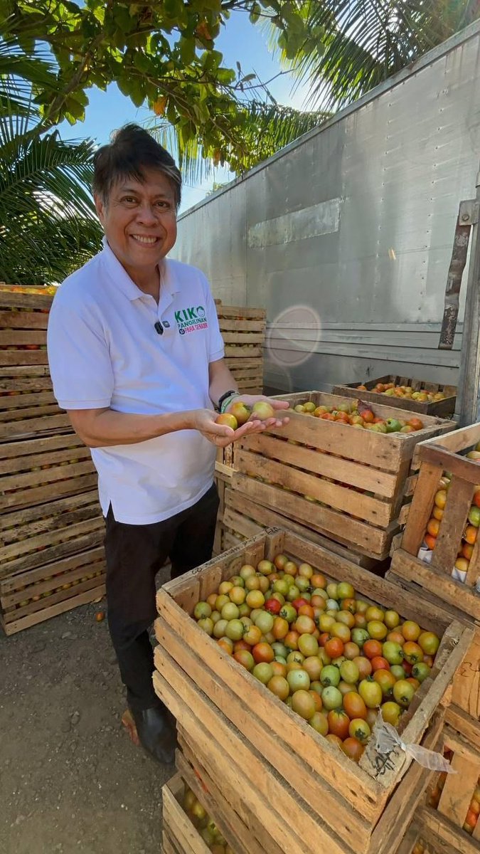 rapplerdotcom's tweet photo. BILI NA KAYO NG KAMATIS! 

Returning senator Kiko Pangilinan goes to Nueva Ecija to rescue buy tomatoes and dialogue with farmers about addressing the oversupply, expanding their market, and setting up cold storage facilities for their harvests. 

Pangilinan was the author of the Sagip Saka Act, and championed “policies allowing national and local governments to directly purchase produce from farmers without public bidding—cutting out exploitative middlemen and ensuring higher farmgate prices.” 

For more updates on the 2025 midterm elections, visit https://t.co/NUvvdmPzrT.