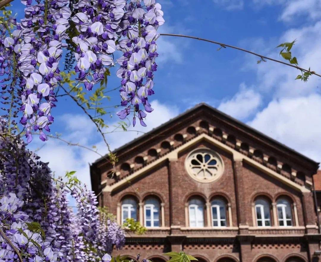 CRIMEDIM tweet media