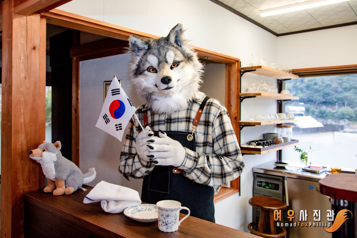 A small gift from Korea

<a href="/kamodaniookami/">ロキ</a> 
#FursuitFriday #Fursuit