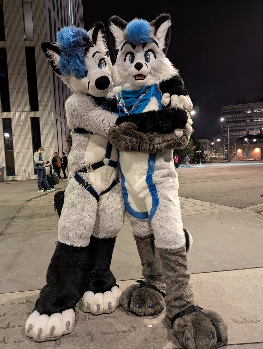You may be drunk, if you can see double.
🦊 <a href="/RiyoRiyote/">Riyo ➡️ Scotia, NFC, LVFC</a> 
📸 <a href="/GremTheWolf/">🐾 Grem 🐾</a> 

#FursuitFriday