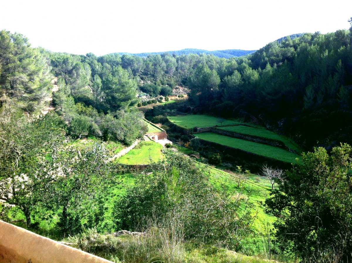 🟢Dissabte, 15 de març, us convidam a una nova sortida del GCM
📍La sortida d'aquest mes és a Buscastell. 
🕐La sortida començarà a les 10:00 h.
👉Us enviarem explicacions més detallades de la caminada la setmana vinent.
📅Reservau la data!