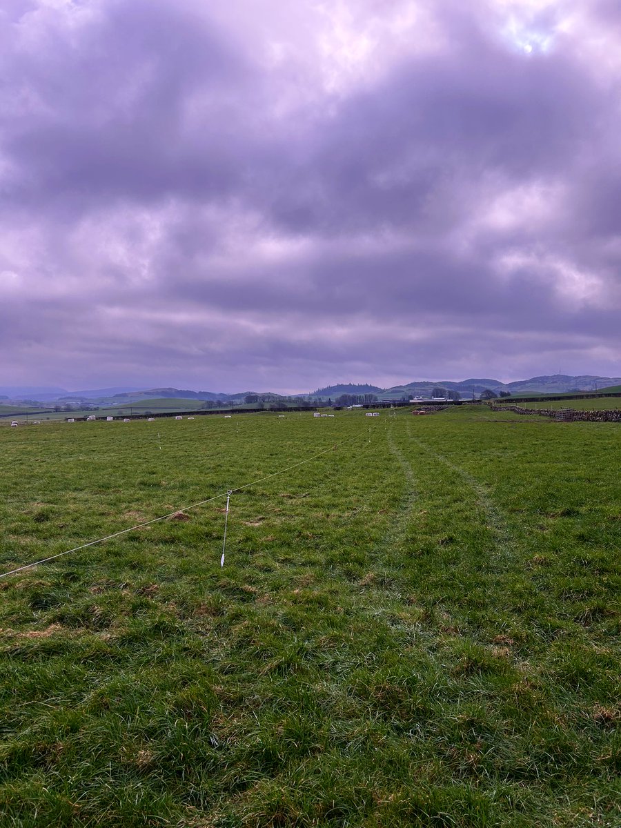 The maternity ward is ready. 
☀️ 🍀 🐂 🥩